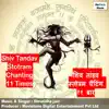 Shraddha Jain - Shiv Tandav Stotram Chanting 11 Times